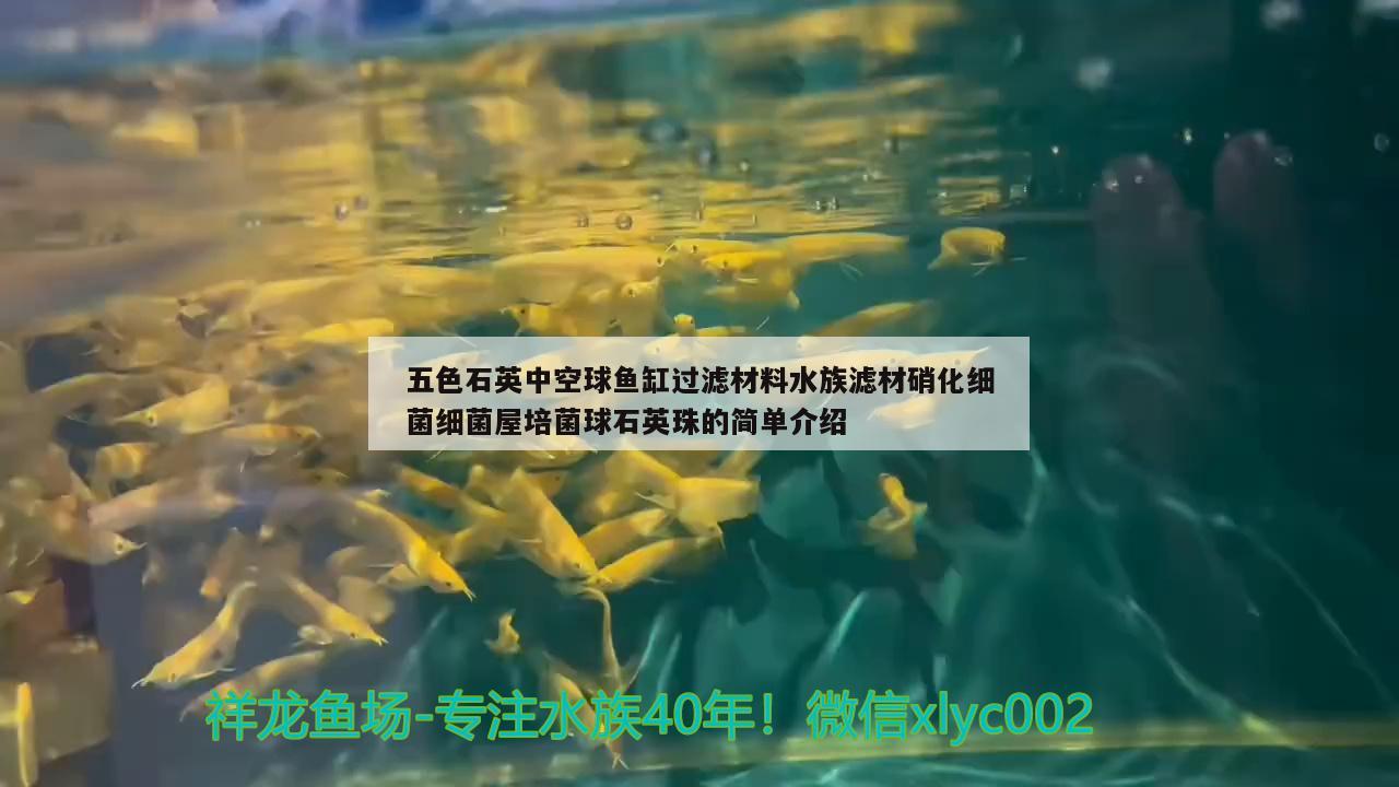 五色石英中空球魚缸過濾材料水族濾材硝化細(xì)菌細(xì)菌屋培菌球石英珠的簡(jiǎn)單介紹 硝化細(xì)菌