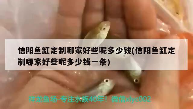 許昌哪里有賣魚缸的地方呀圖片(許昌哪里有批發(fā)魚的) 錦鯉魚