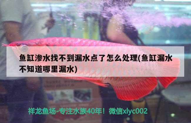 魚缸滲水找不到漏水點了怎么處理(魚缸漏水不知道哪里漏水)