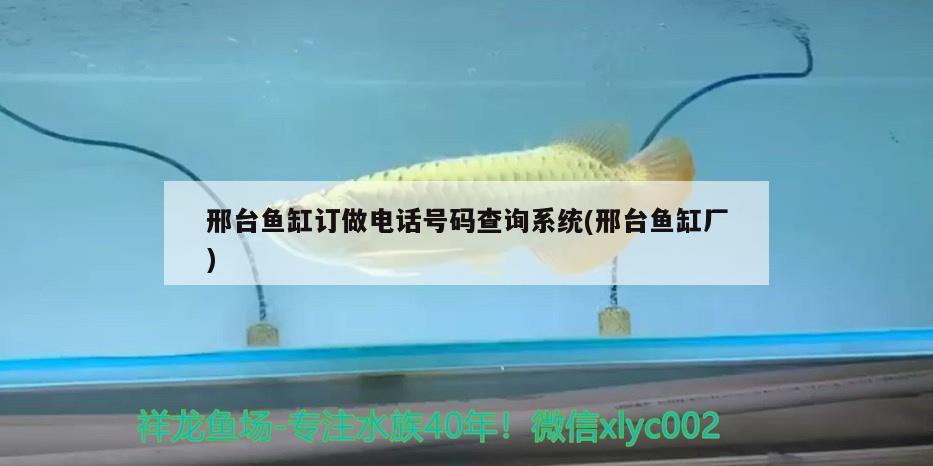 邢臺(tái)魚缸訂做電話號(hào)碼查詢系統(tǒng)(邢臺(tái)魚缸廠) 觀賞魚市場(chǎng)（混養(yǎng)魚）