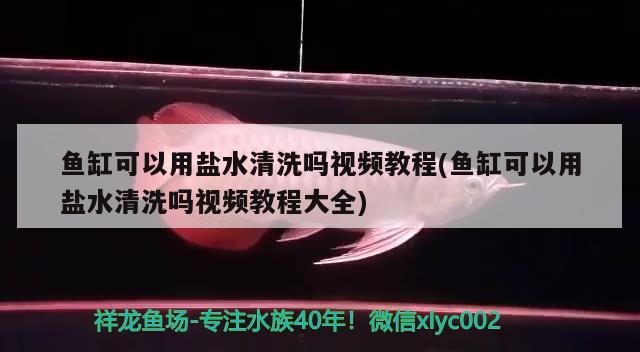 魚缸可以用鹽水清洗嗎視頻教程(魚缸可以用鹽水清洗嗎視頻教程大全) 銀古魚苗