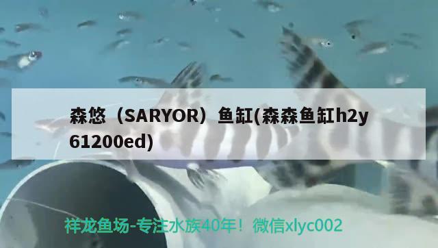 森悠（SARYOR）魚缸(森森魚缸h2y61200ed) 其他品牌魚缸