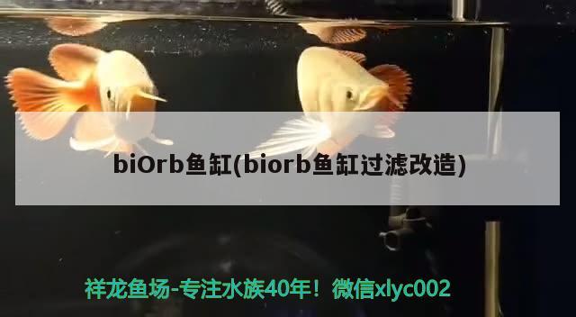 biOrb魚缸(biorb魚缸過濾改造)