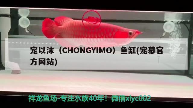 寵以沫（CHONGYIMO）魚(yú)缸(寵慕官方網(wǎng)站) 其他品牌魚(yú)缸