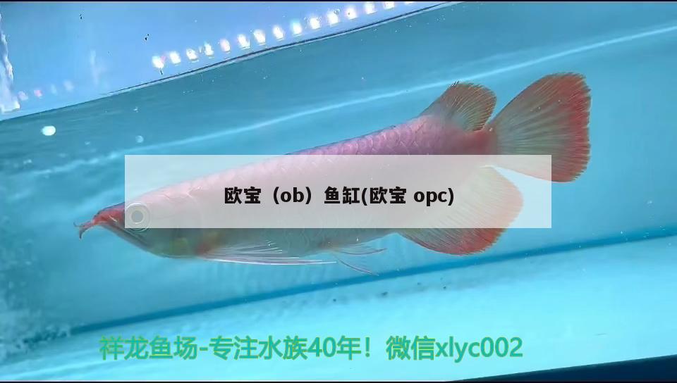 歐寶（ob）魚缸(歐寶opc)