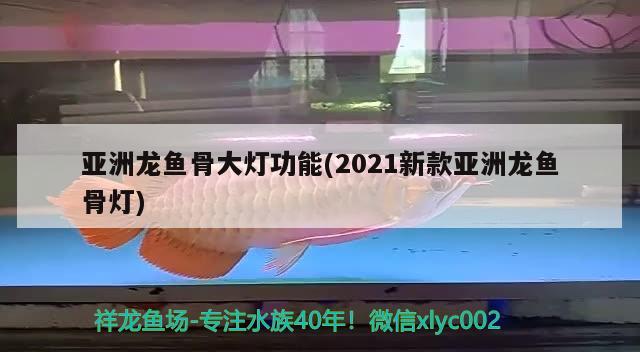 亞洲龍魚(yú)骨大燈功能(2021新款亞洲龍魚(yú)骨燈)