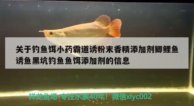 關(guān)于釣魚餌小藥霸道誘粉末香精添加劑鯽鯉魚誘魚黑坑釣魚魚餌添加劑的信息