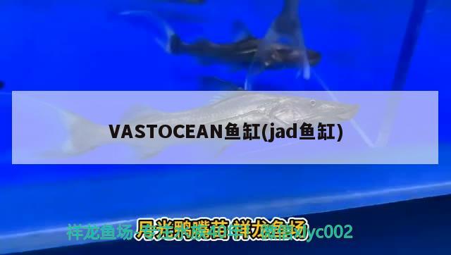 VASTOCEAN魚缸(jad魚缸)