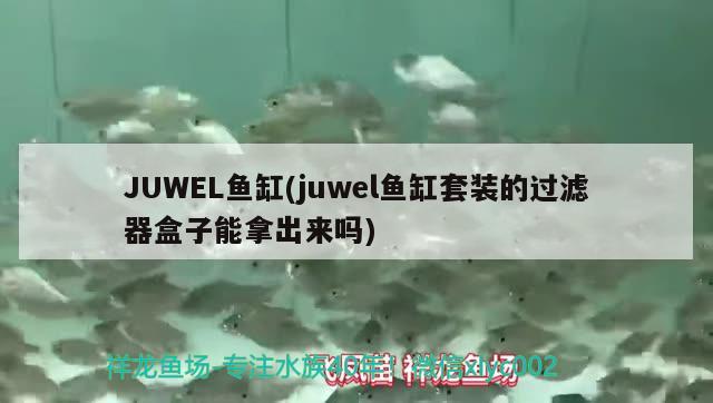 JUWEL魚缸(juwel魚缸套裝的過濾器盒子能拿出來嗎)