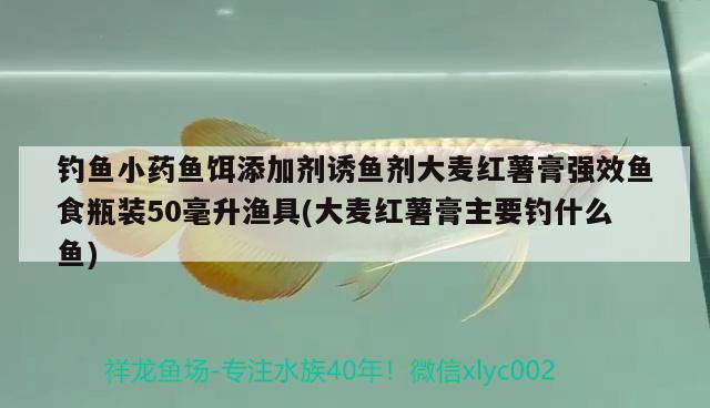 釣魚小藥魚餌添加劑誘魚劑大麥紅薯膏強(qiáng)效魚食瓶裝50毫升漁具(大麥紅薯膏主要釣什么魚) 垂釣樂園