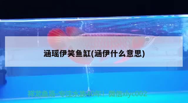 涵瑤伊笑魚缸(涵伊什么意思) 其他品牌魚缸