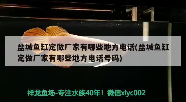 鹽城魚缸定做廠家有哪些地方電話(鹽城魚缸定做廠家有哪些地方電話號碼) 水族雜談