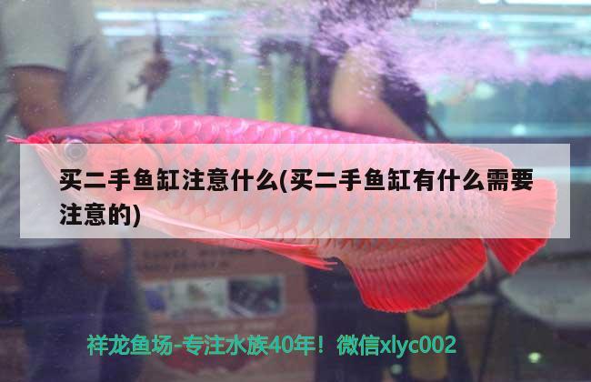 買(mǎi)二手魚(yú)缸注意什么(買(mǎi)二手魚(yú)缸有什么需要注意的) 錦鯉池魚(yú)池建設(shè)