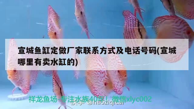 宣城魚缸定做廠家聯(lián)系方式及電話號(hào)碼(宣城哪里有賣水缸的)