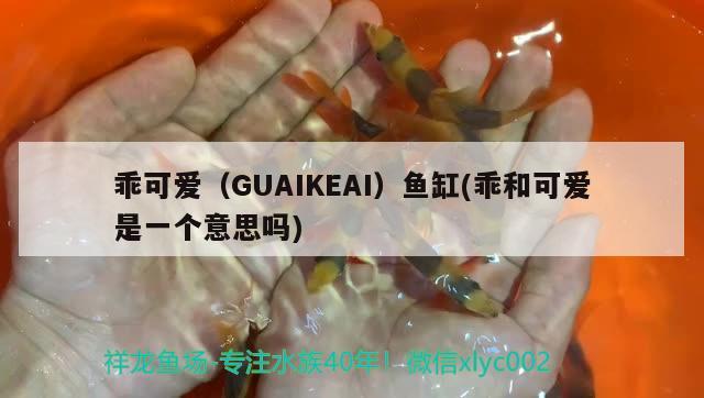 乖可愛(ài)（GUAIKEAI）魚缸(乖和可愛(ài)是一個(gè)意思嗎) 其他品牌魚缸