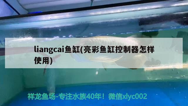 liangcai魚缸(亮彩魚缸控制器怎樣使用) 其他品牌魚缸 第2張