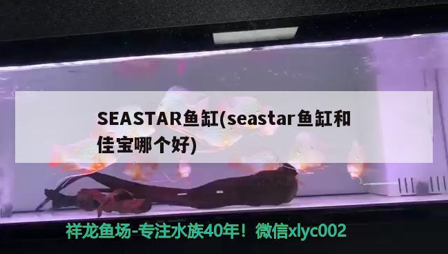 SEASTAR魚缸(seastar魚缸和佳寶哪個好)