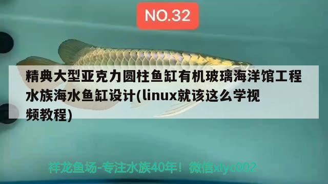 精典大型亞克力圓柱魚缸有機玻璃海洋館工程水族海水魚缸設(shè)計(linux就該這么學(xué)視頻教程) 海水魚