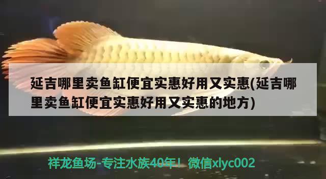 延吉哪里賣魚缸便宜實(shí)惠好用又實(shí)惠(延吉哪里賣魚缸便宜實(shí)惠好用又實(shí)惠的地方) 觀賞龜/鱉飼料