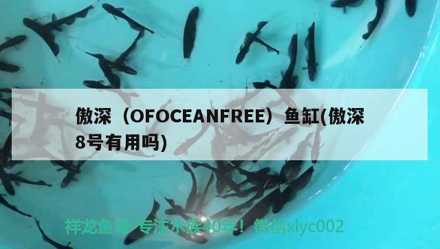 傲深（OFOCEANFREE）魚缸(傲深8號有用嗎) 其他品牌魚缸