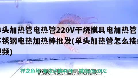 單頭加熱管電熱管220V干燒模具電加熱管不銹鋼電熱加熱棒批發(fā)(單頭加熱管怎么接線視頻) 定時器/自控系統(tǒng)