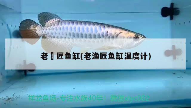 老漁匠魚缸(老漁匠魚缸溫度計)