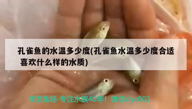 孔雀魚的水溫多少度(孔雀魚水溫多少度合適喜歡什么樣的水質(zhì)) 觀賞魚