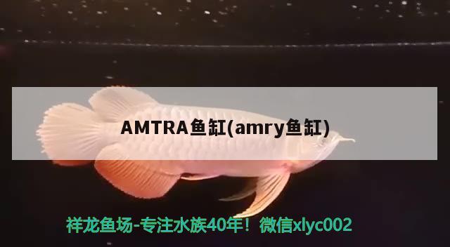 AMTRA魚缸(amry魚缸)