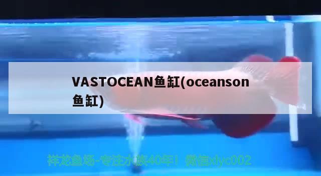 VASTOCEAN魚缸(oceanson魚缸)