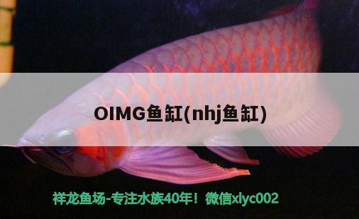 OIMG魚缸(nhj魚缸)