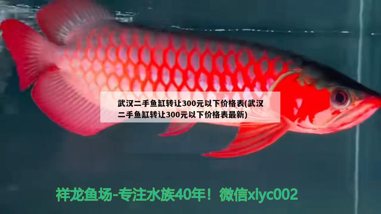 武漢二手魚缸轉(zhuǎn)讓300元以下價(jià)格表(武漢二手魚缸轉(zhuǎn)讓300元以下價(jià)格表最新)