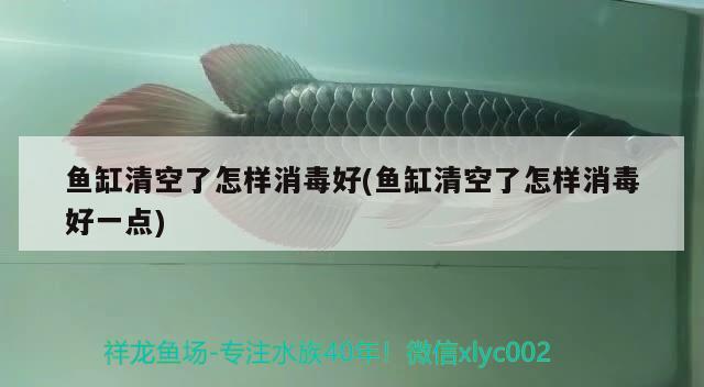 魚缸清空了怎樣消毒好(魚缸清空了怎樣消毒好一點)