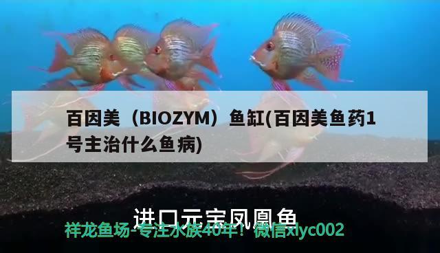 百因美（BIOZYM）魚缸(百因美魚藥1號主治什么魚病)