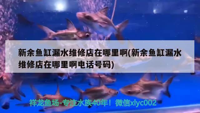 新余魚(yú)缸漏水維修店在哪里啊(新余魚(yú)缸漏水維修店在哪里啊電話號(hào)碼)