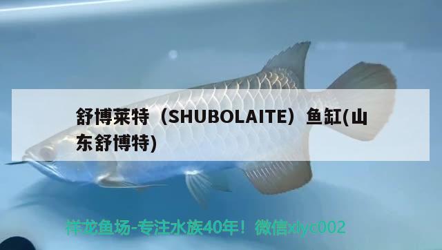 舒博萊特（SHUBOLAITE）魚缸(山東舒博特) 博特水族