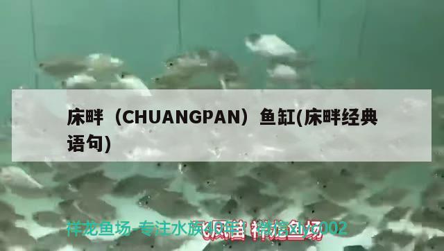 床畔（CHUANGPAN）魚(yú)缸(床畔經(jīng)典語(yǔ)句) 其他品牌魚(yú)缸