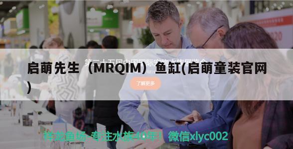 啟萌先生（MRQIM）魚缸(啟萌童裝官網(wǎng)) 其他品牌魚缸