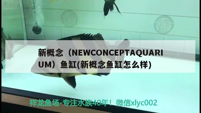 新概念（NEWCONCEPTAQUARIUM）魚缸(新概念魚缸怎么樣) 其他品牌魚缸