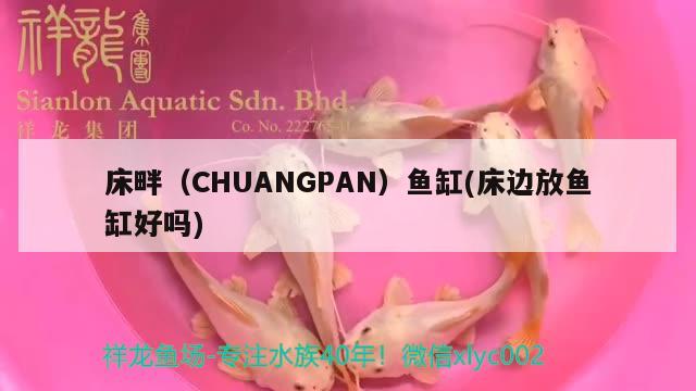 床畔（CHUANGPAN）魚缸(床邊放魚缸好嗎)