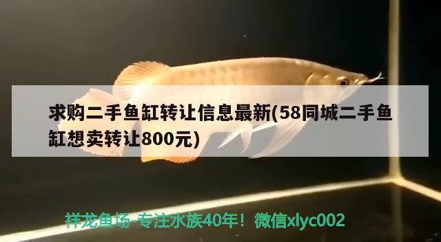 求購(gòu)二手魚(yú)缸轉(zhuǎn)讓信息最新(58同城二手魚(yú)缸想賣(mài)轉(zhuǎn)讓800元)