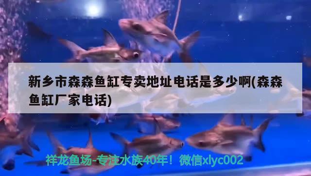 新鄉(xiāng)市森森魚缸專賣地址電話是多少啊(森森魚缸廠家電話) 帝王三間魚