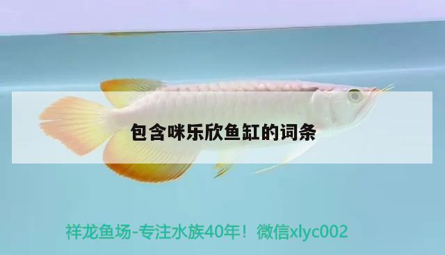 包含咪樂欣魚缸的詞條 其他品牌魚缸