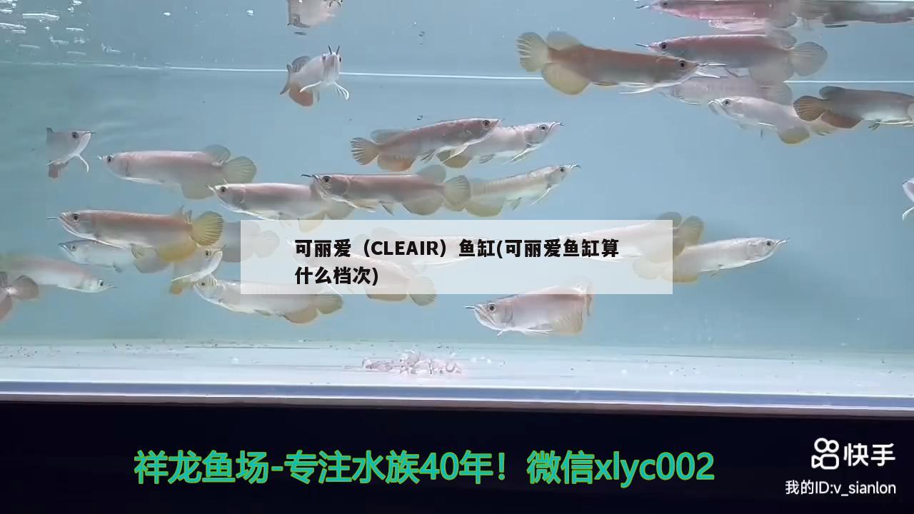 可麗愛（CLEAIR）魚缸(可麗愛魚缸算什么檔次)