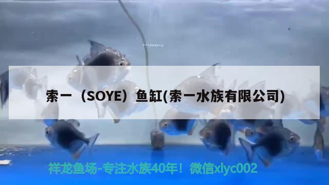 索一（SOYE）魚(yú)缸(索一水族有限公司)