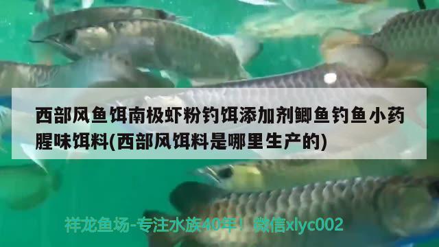 西部風(fēng)魚餌南極蝦粉釣餌添加劑鯽魚釣魚小藥腥味餌料(西部風(fēng)餌料是哪里生產(chǎn)的) 垂釣樂園