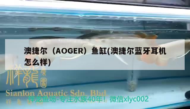 澳捷爾（AOGER）魚缸(澳捷爾藍牙耳機怎么樣) 其他品牌魚缸