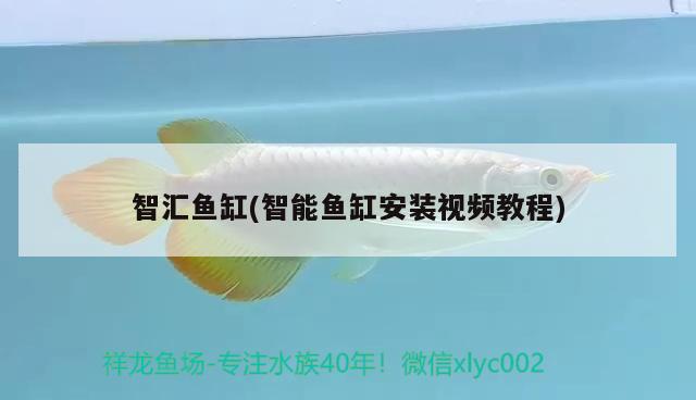 智匯魚缸(智能魚缸安裝視頻教程) 其他品牌魚缸