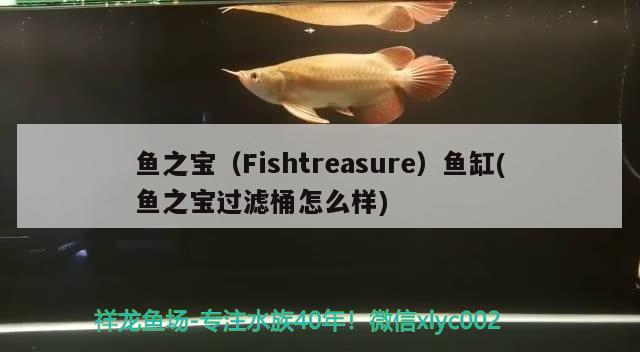 魚之寶（Fishtreasure）魚缸(魚之寶過濾桶怎么樣) 其他品牌魚缸