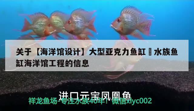 關于【海洋館設計】大型亞克力魚缸?水族魚缸海洋館工程的信息 泰國虎魚（泰虎）