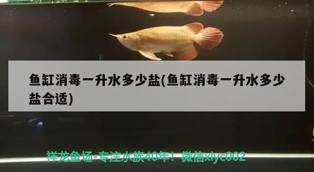 魚缸消毒一升水多少鹽(魚缸消毒一升水多少鹽合適) 羅漢魚批發(fā)